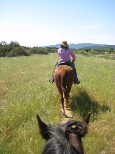 Horseback Trail Riding. We are on a horseback riding