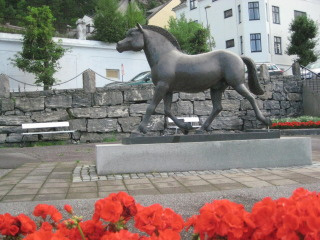 AlesundFjordHorselowrez  Horseback Riding Vacation in Alesund, Norway