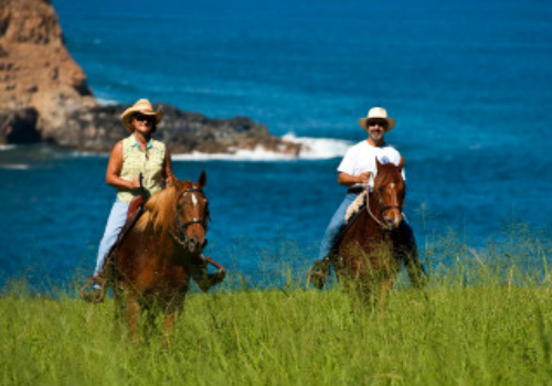 PasoRidersOceanWinstonWelborn  Horseback Riding Vacation with Hawaii Paso Finos, Big Island, Hawaii