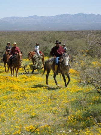 AZDRA Elkhorn Ranch Group Ride low res  Horseback Riding Vacation with Arizona Dude Ranch Association